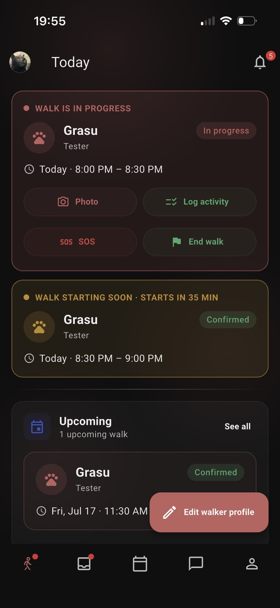 Pawz Walker Today screen with active and upcoming walks